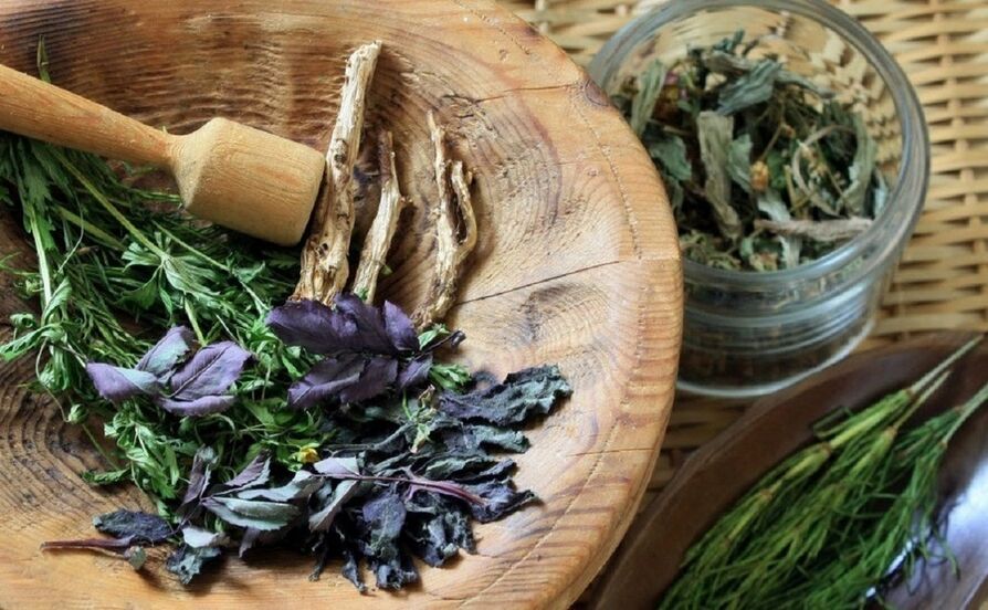 Herbes médicinales pour le traitement du diabète